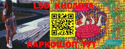 индика Будённовск