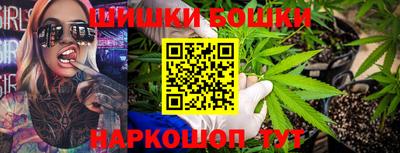 индика Будённовск