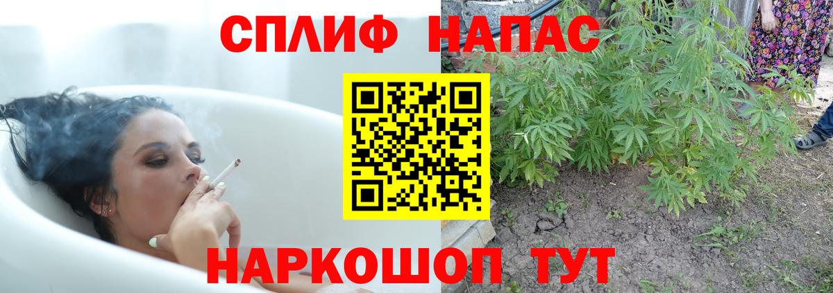 Рославль  Каннабис конопля  Конопля AK-47  Вход с VPN  Марихуана план  МАРИХУАНА White Widow 